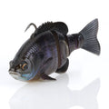 Savage Gear 3D Bluegill RTF