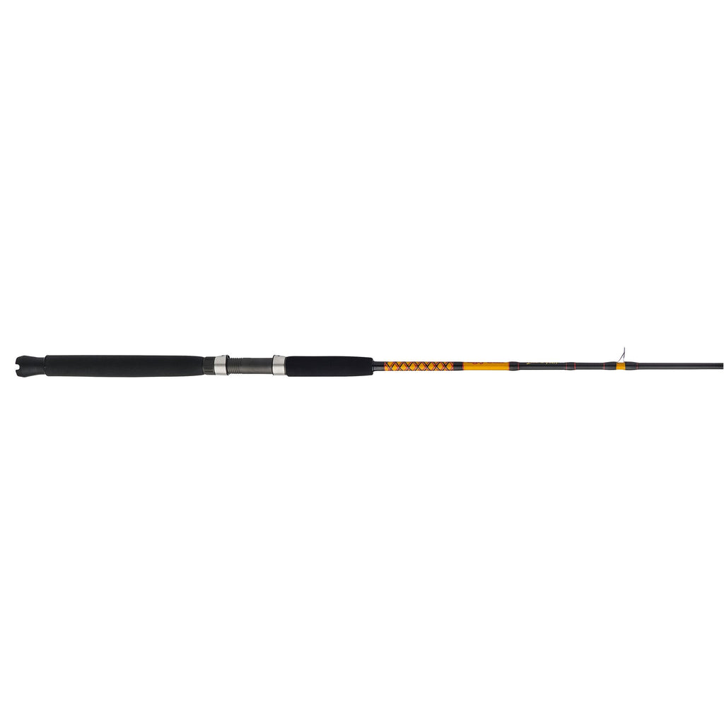 Ugly Stik Bigwater Conventional Rod